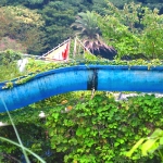 sports world chute long close.jpg